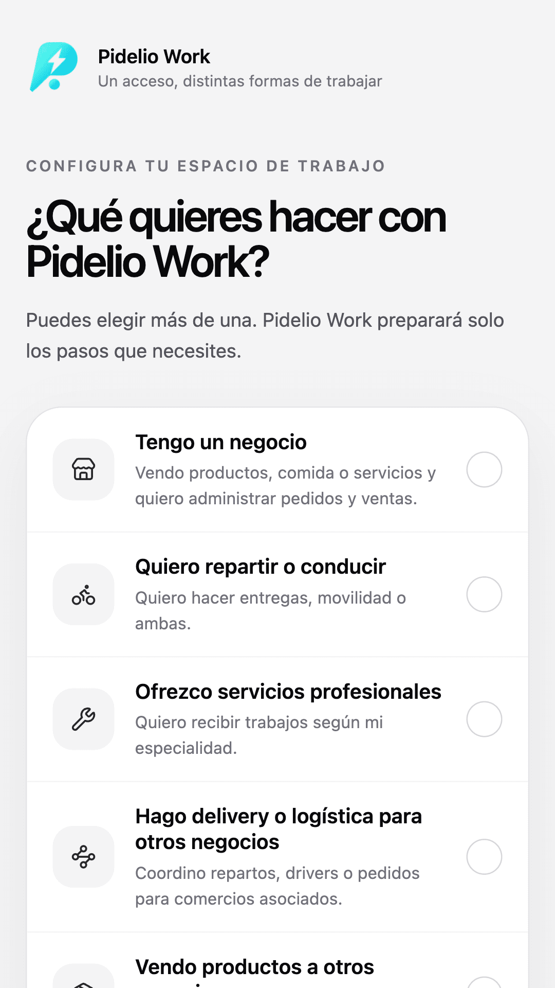 Selector actual de Pidelio Work